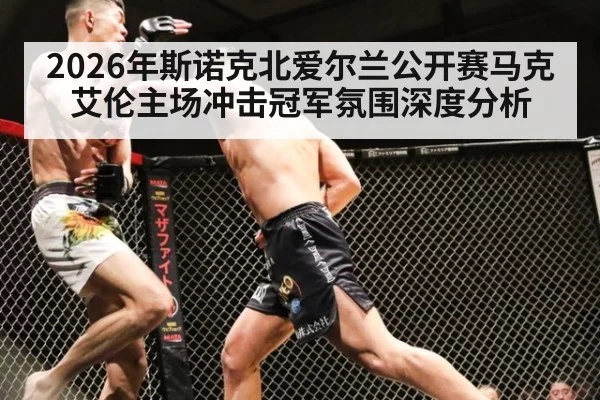2026年斯诺克北爱尔兰公开赛马克艾伦主场冲击冠军氛围深度分析